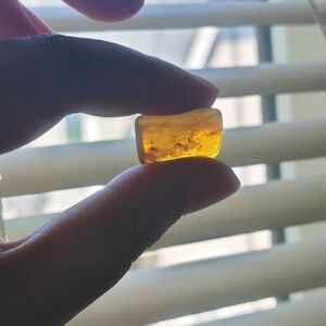 Natural Burmese Amber with insect